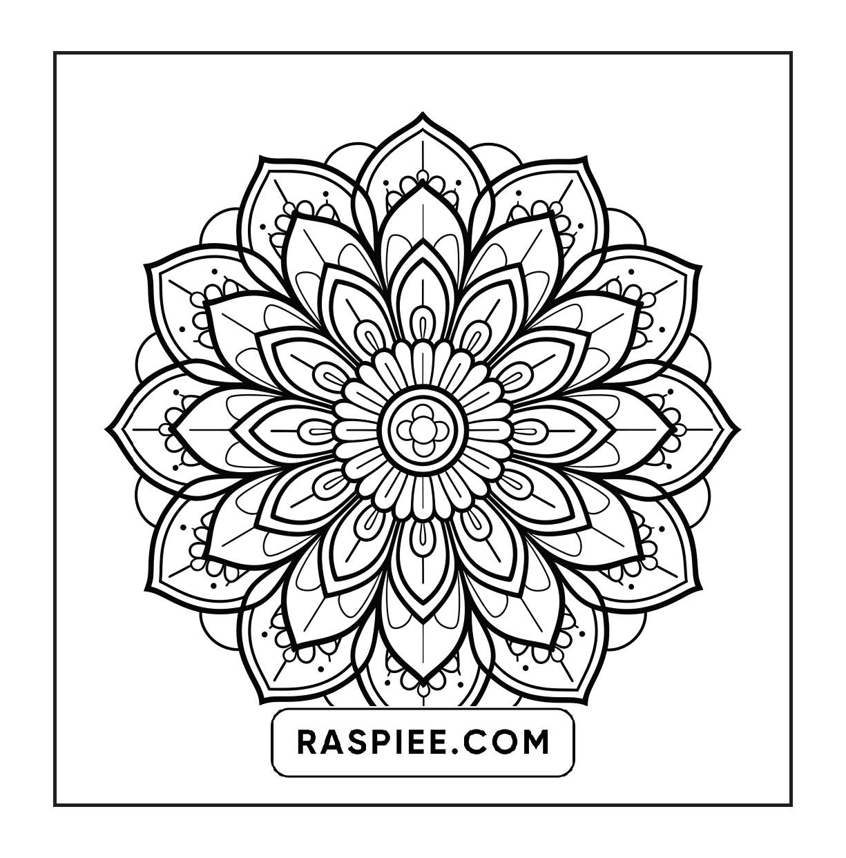 250 Mandala Adult Coloring Pages Vol.3