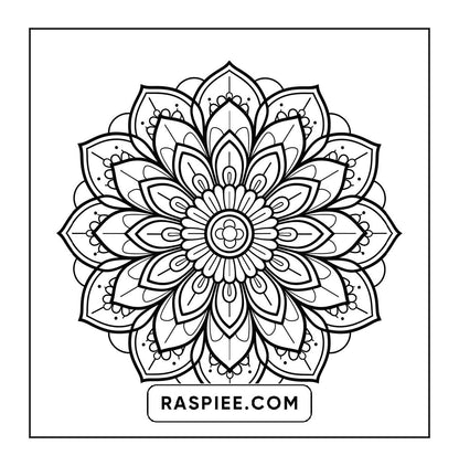 250 Mandala Adult Coloring Pages Vol.3