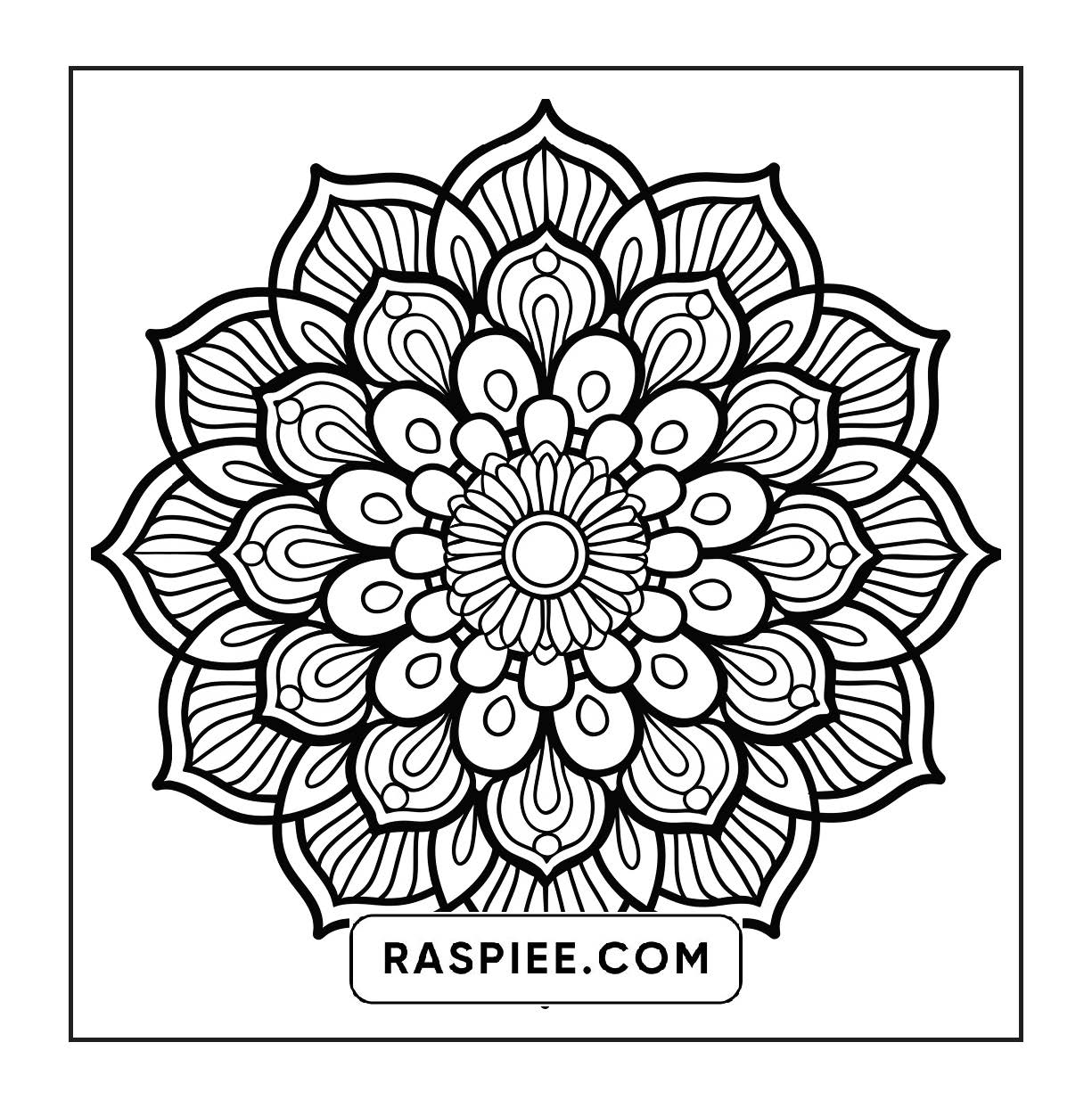 250 Mandala Adult Coloring Pages Vol.3
