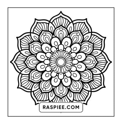 250 Mandala Adult Coloring Pages Vol.3