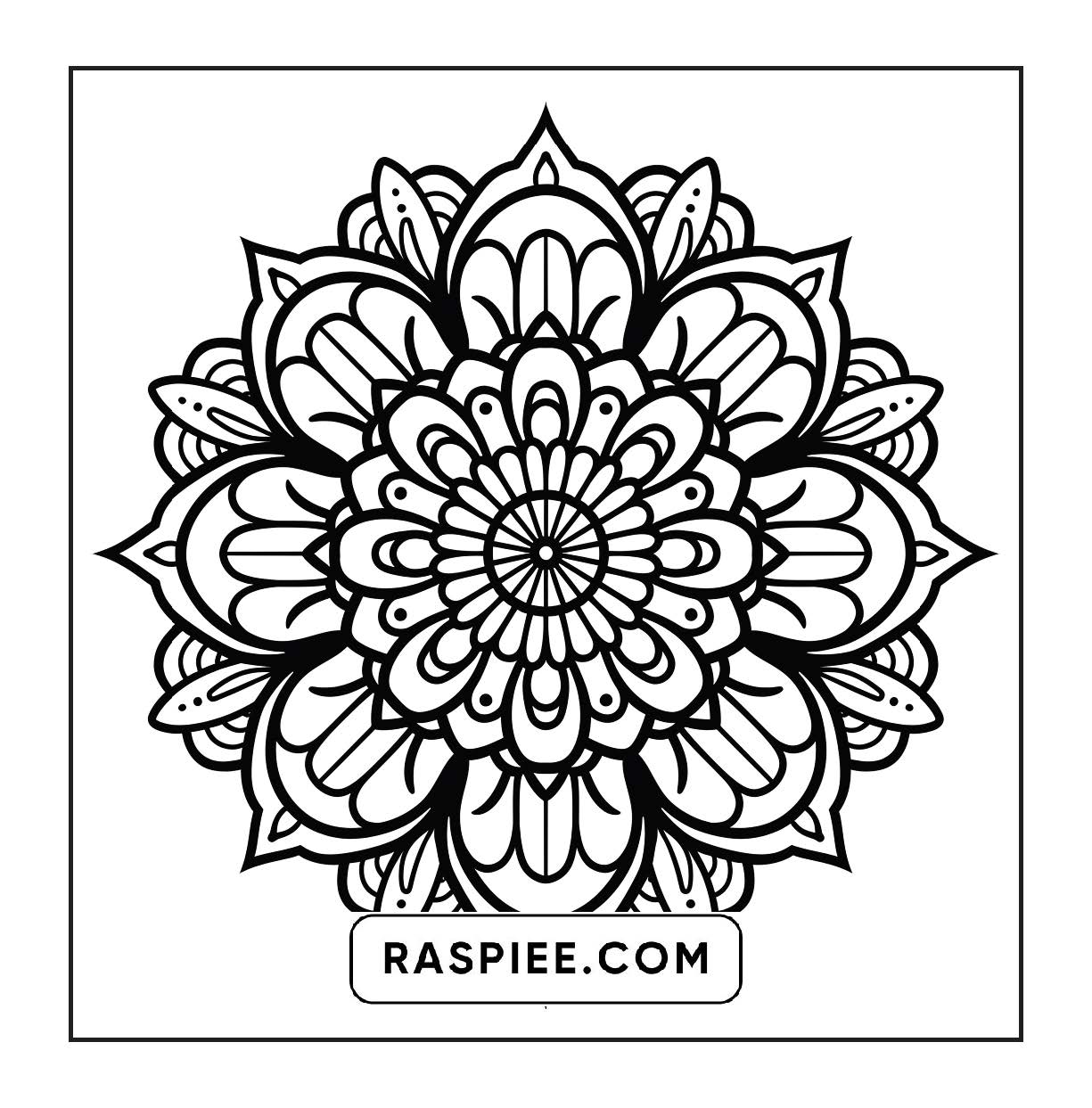 250 Mandala Adult Coloring Pages Vol.3