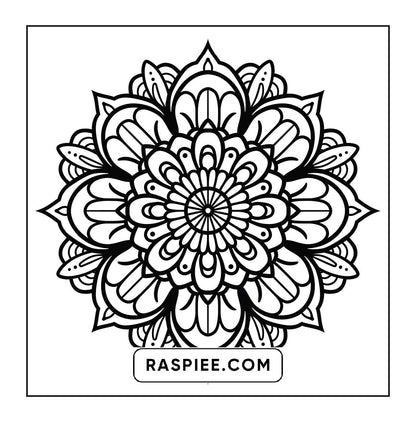 250 Mandala Adult Coloring Pages Vol.3
