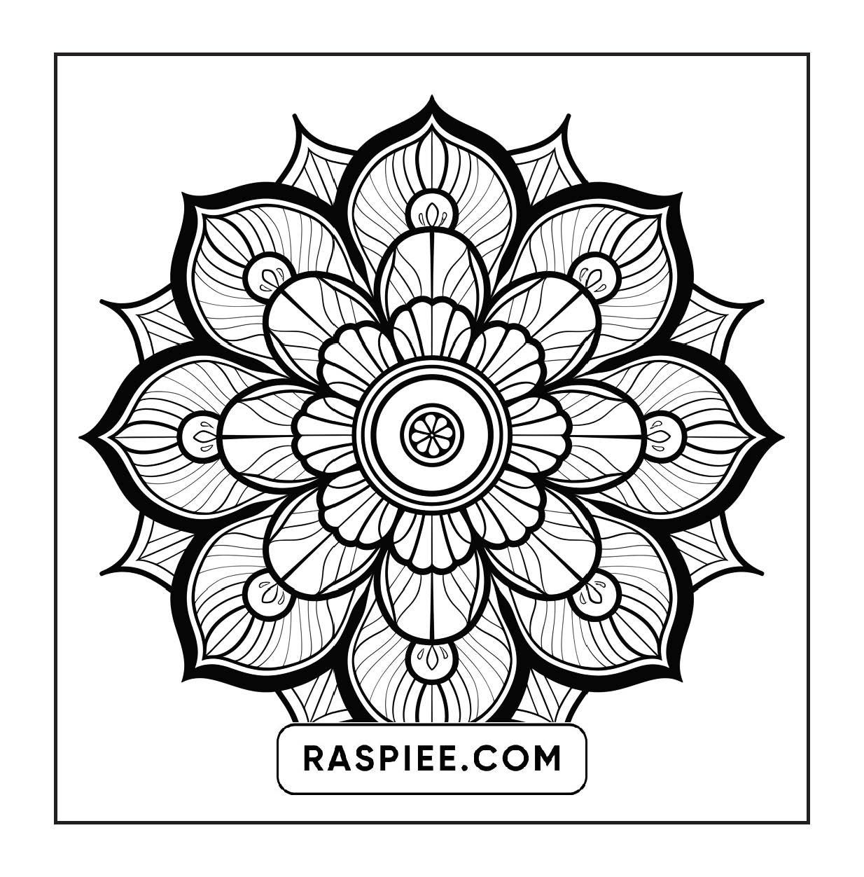 250 Mandala Adult Coloring Pages Vol.3