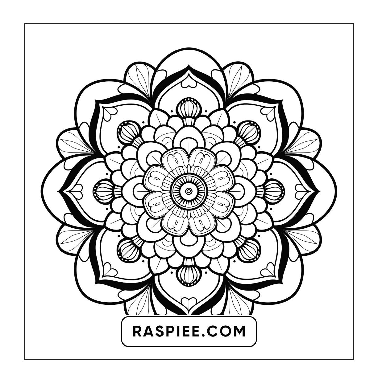 250 Mandala Adult Coloring Pages Vol.3