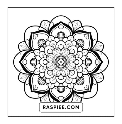 250 Mandala Adult Coloring Pages Vol.3