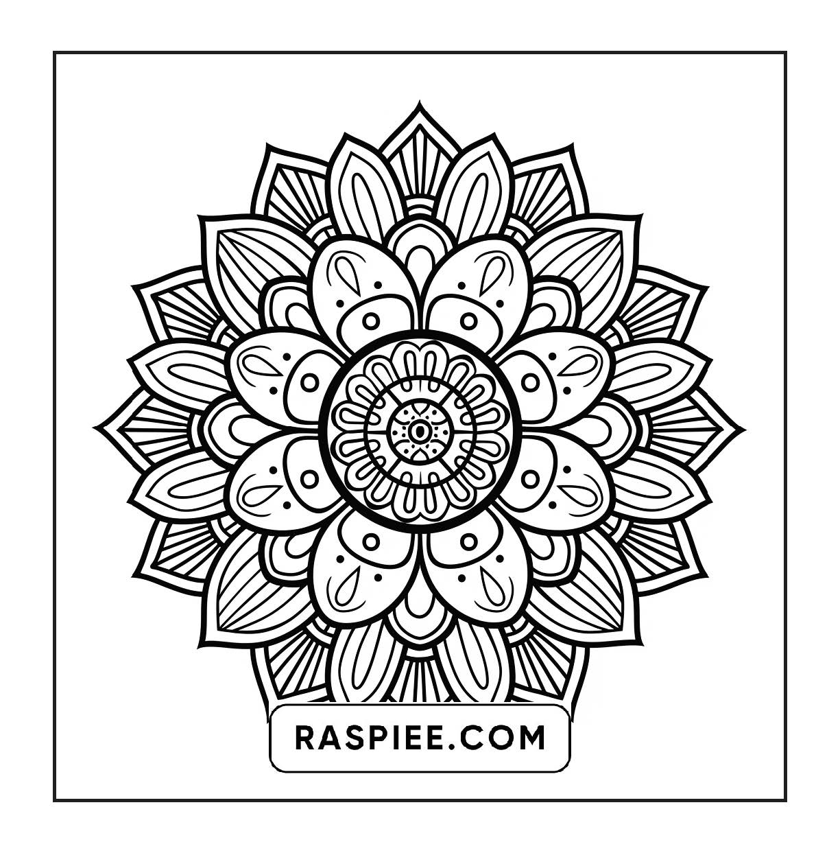 250 Mandala Adult Coloring Pages Vol.3