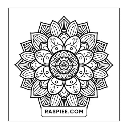 250 Mandala Adult Coloring Pages Vol.3