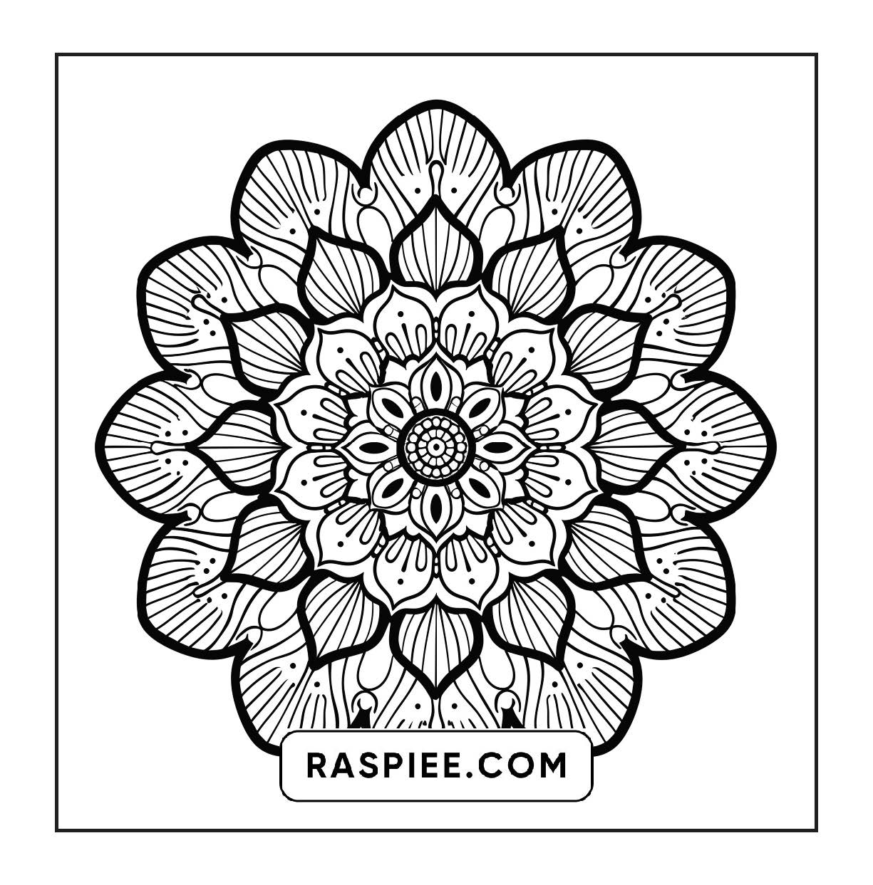 250 Mandala Adult Coloring Pages Vol.3