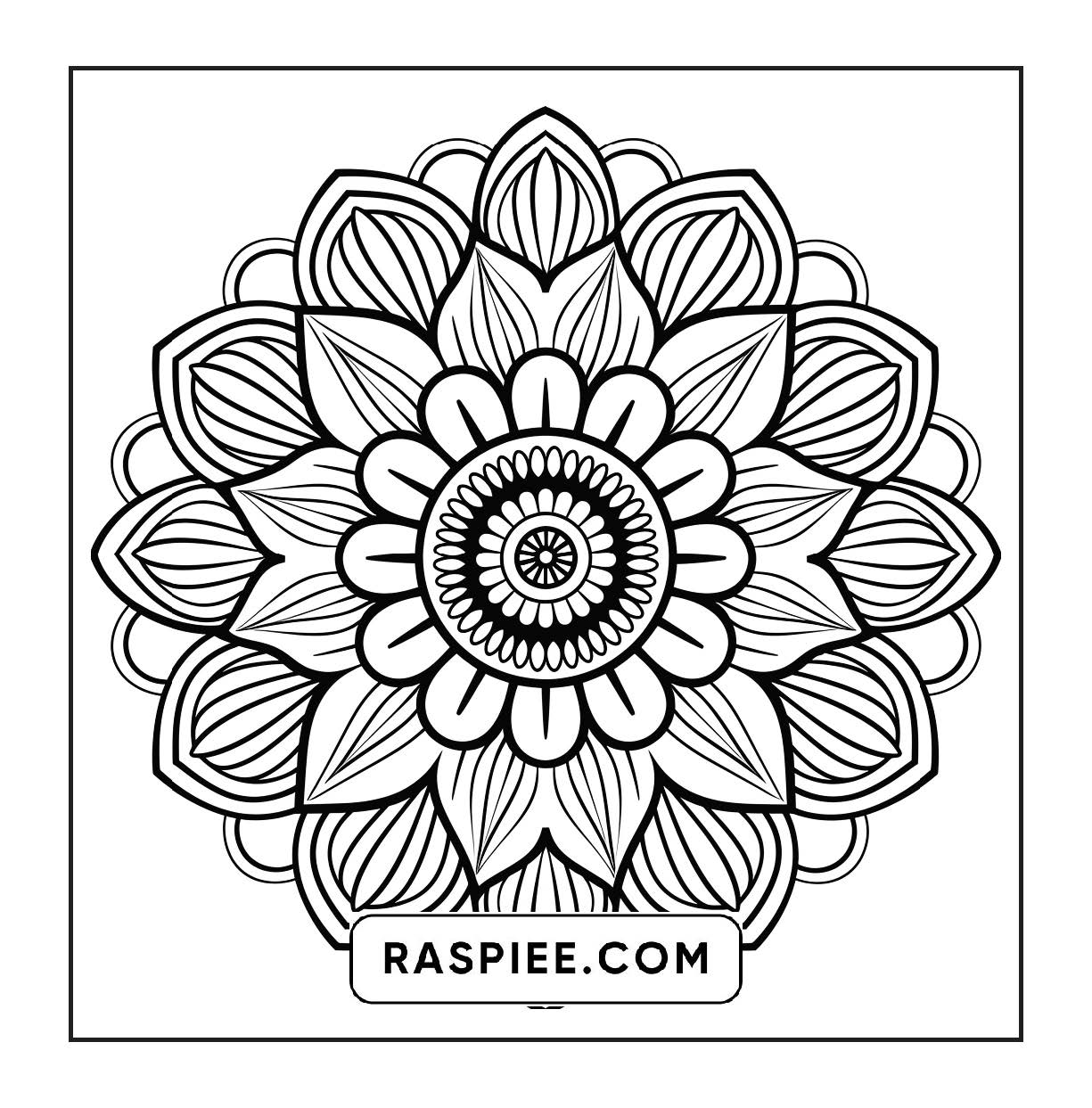 250 Mandala Adult Coloring Pages Vol.3