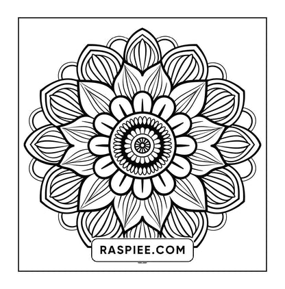250 Mandala Adult Coloring Pages Vol.3