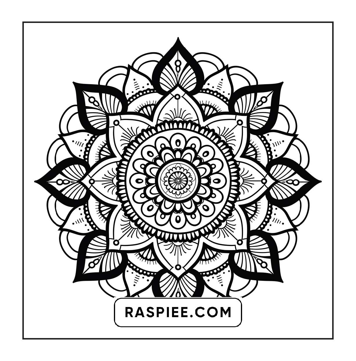 250 Mandala Adult Coloring Pages Vol.3