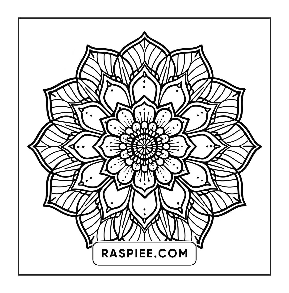 250 Mandala Adult Coloring Pages Vol.3