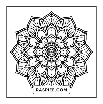 250 Mandala Adult Coloring Pages Vol.3