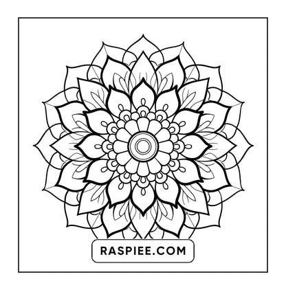 250 Mandala Adult Coloring Pages Vol.3