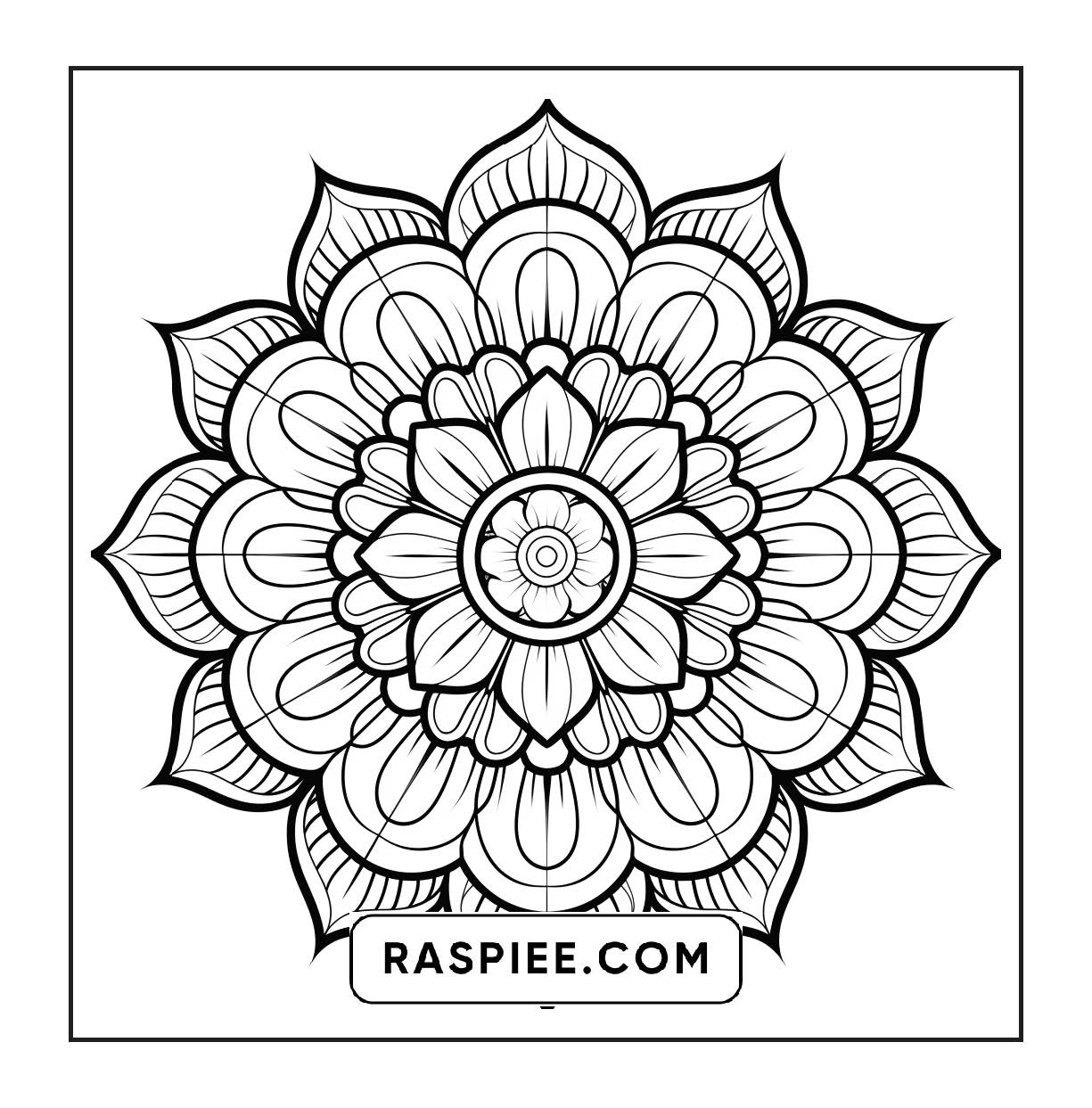 250 Mandala Adult Coloring Pages Vol.3