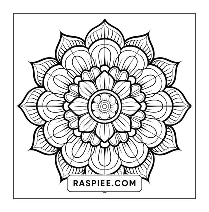250 Mandala Adult Coloring Pages Vol.3