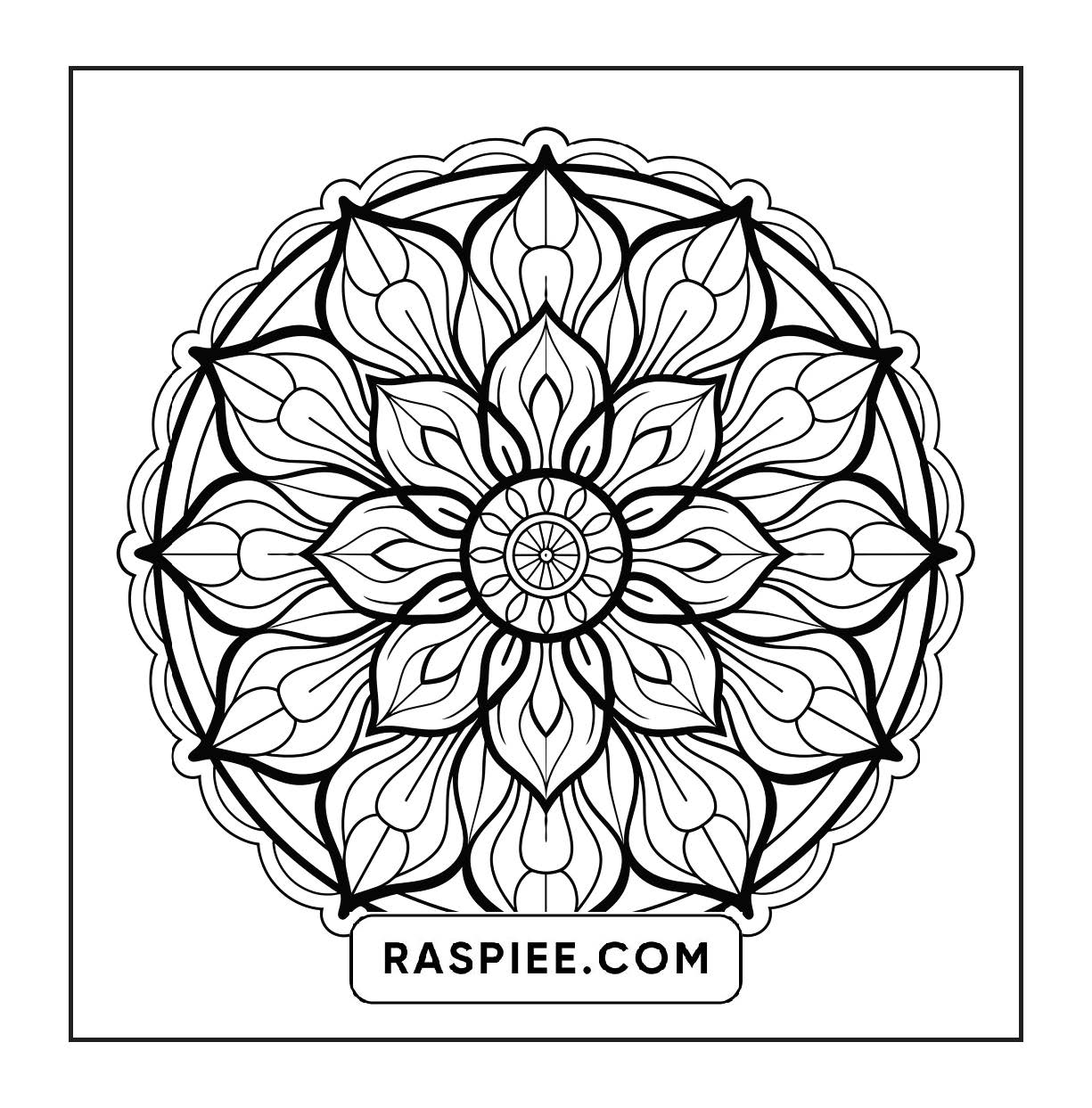250 Mandala Adult Coloring Pages Vol.3