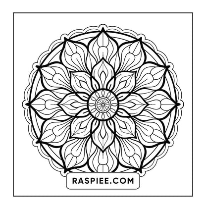 250 Mandala Adult Coloring Pages Vol.3