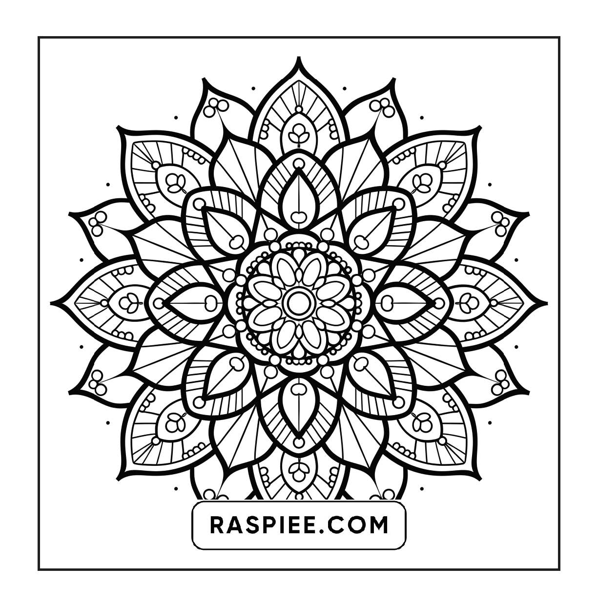250 Mandala Adult Coloring Pages Vol.3