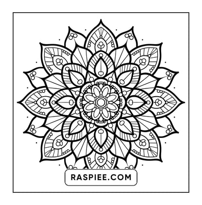 250 Mandala Adult Coloring Pages Vol.3