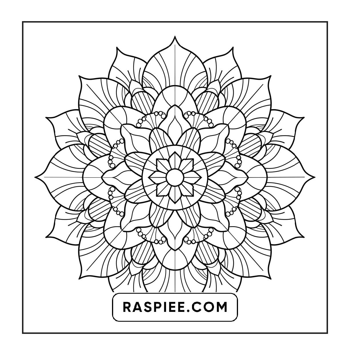 250 Mandala Adult Coloring Pages Vol.3