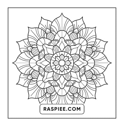 250 Mandala Adult Coloring Pages Vol.3