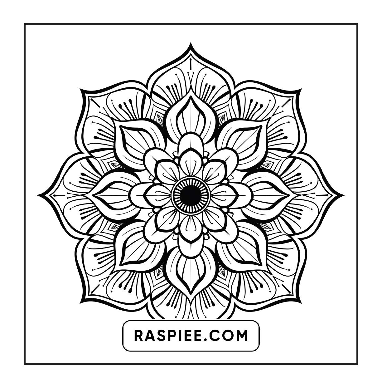 250 Mandala Adult Coloring Pages Vol.3
