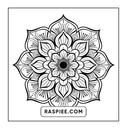 250 Mandala Adult Coloring Pages Vol.3