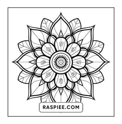 250 Mandala Adult Coloring Pages Vol.3