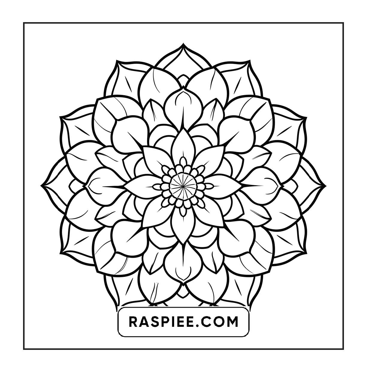 250 Mandala Adult Coloring Pages Vol.3