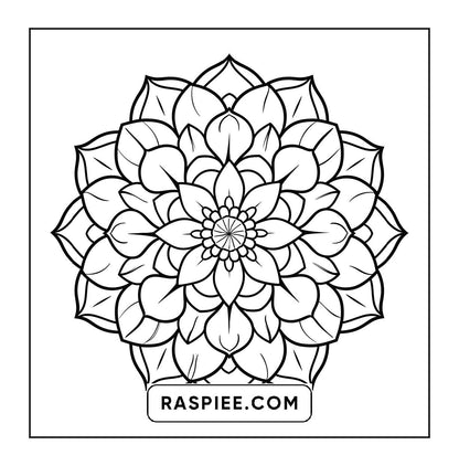 250 Mandala Adult Coloring Pages Vol.3