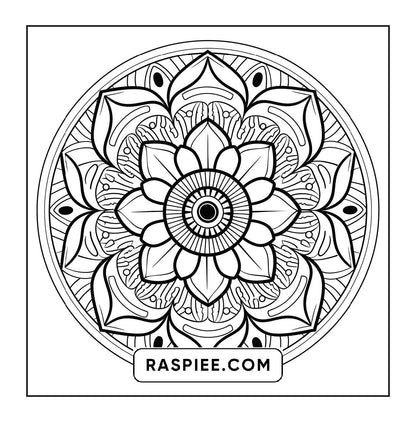 250 Mandala Adult Coloring Pages Vol.3