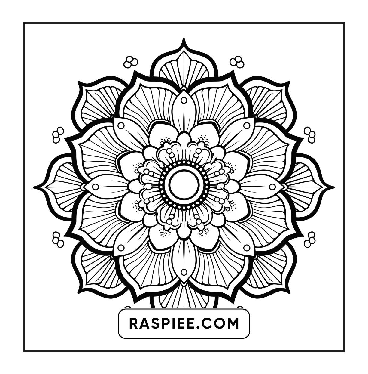 250 Mandala Adult Coloring Pages Vol.3
