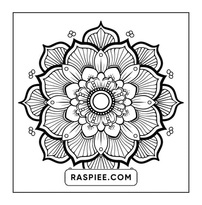 250 Mandala Adult Coloring Pages Vol.3