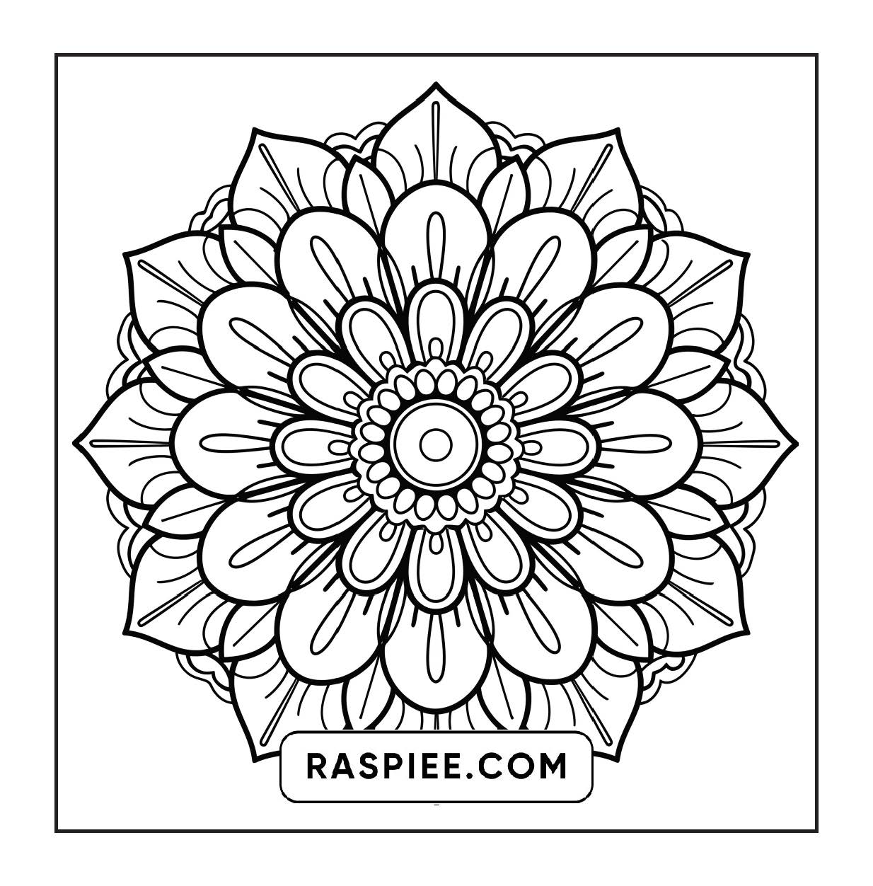 250 Mandala Adult Coloring Pages Vol.3