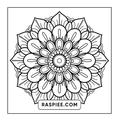 250 Mandala Adult Coloring Pages Vol.3