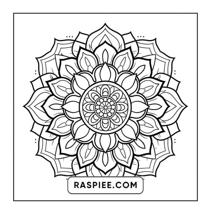 250 Mandala Adult Coloring Pages Vol.3
