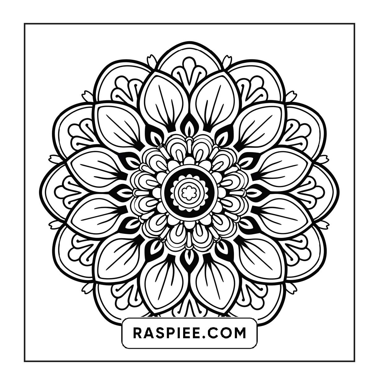 250 Mandala Adult Coloring Pages Vol.3
