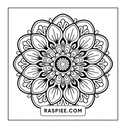 250 Mandala Adult Coloring Pages Vol.3
