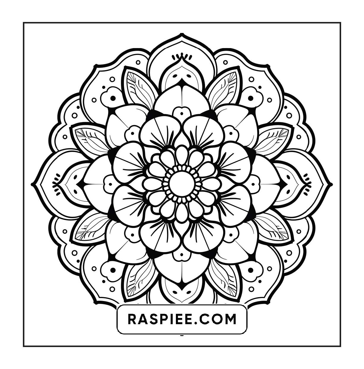 250 Mandala Adult Coloring Pages Vol.3