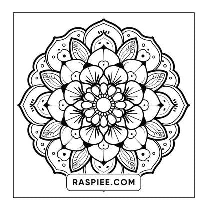 250 Mandala Adult Coloring Pages Vol.3