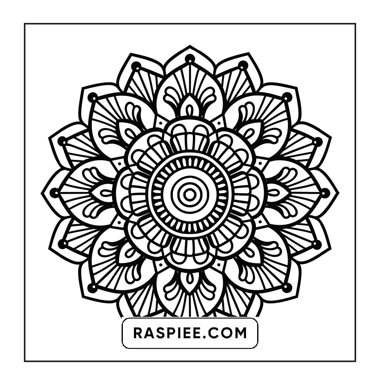 250 Mandala Adult Coloring Pages Vol.3