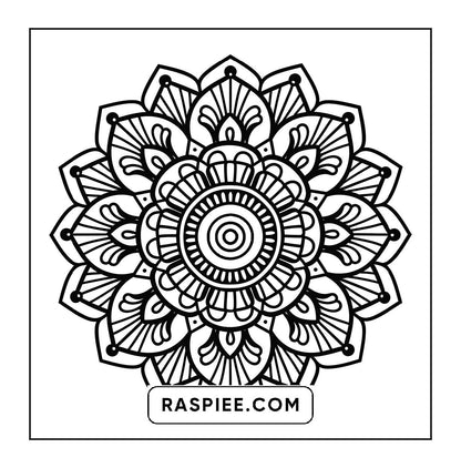 250 Mandala Adult Coloring Pages Vol.3