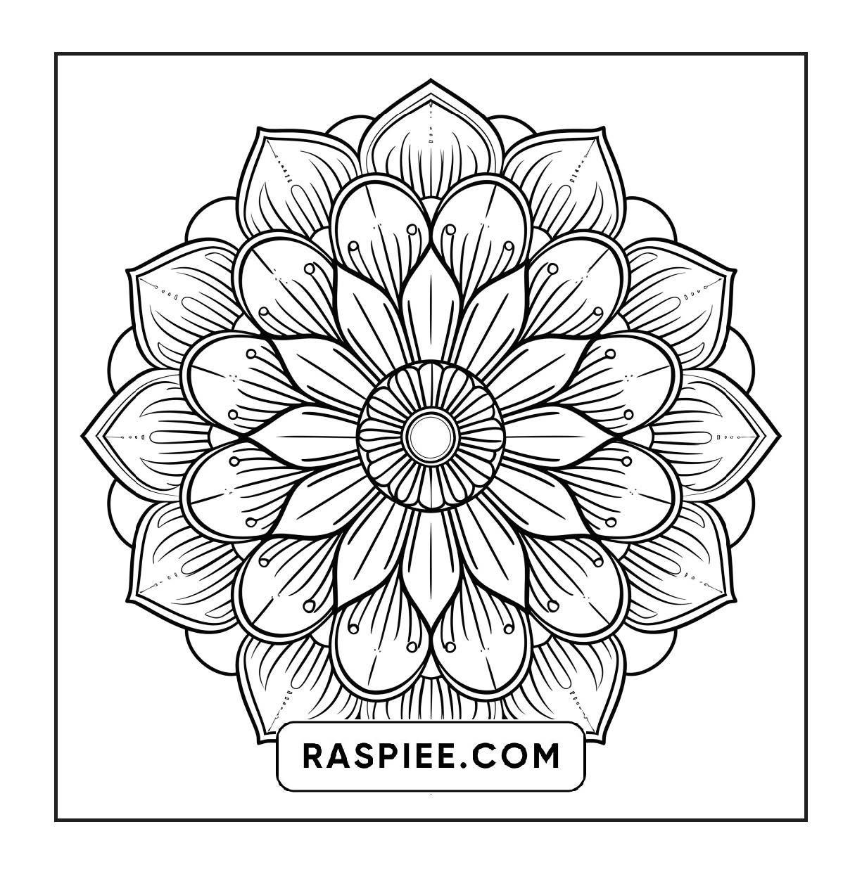 250 Mandala Adult Coloring Pages Vol.3