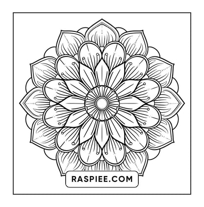250 Mandala Adult Coloring Pages Vol.3