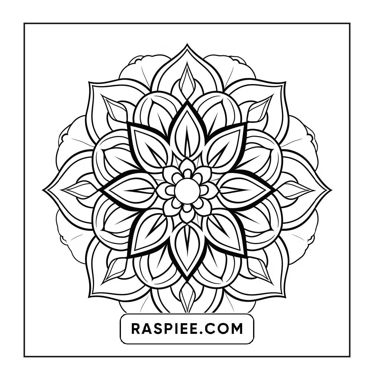 250 Mandala Adult Coloring Pages Vol.3