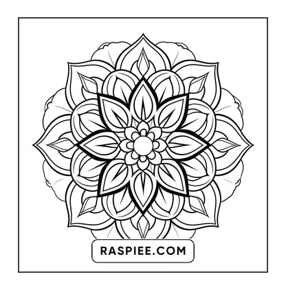 250 Mandala Adult Coloring Pages Vol.3
