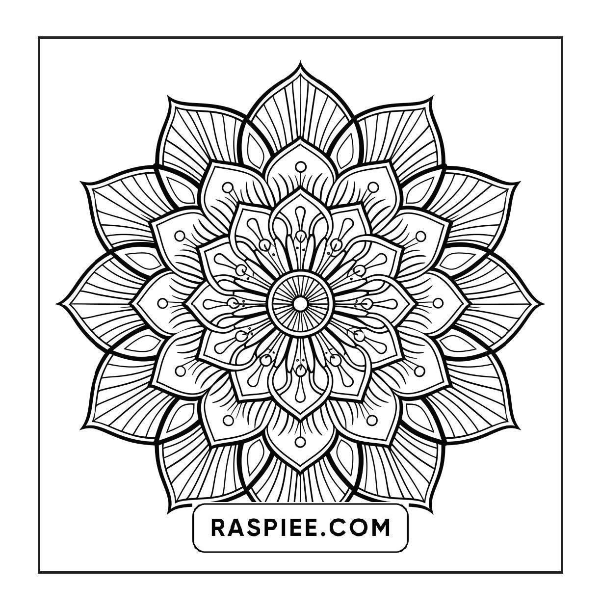 250 Mandala Adult Coloring Pages Vol.3