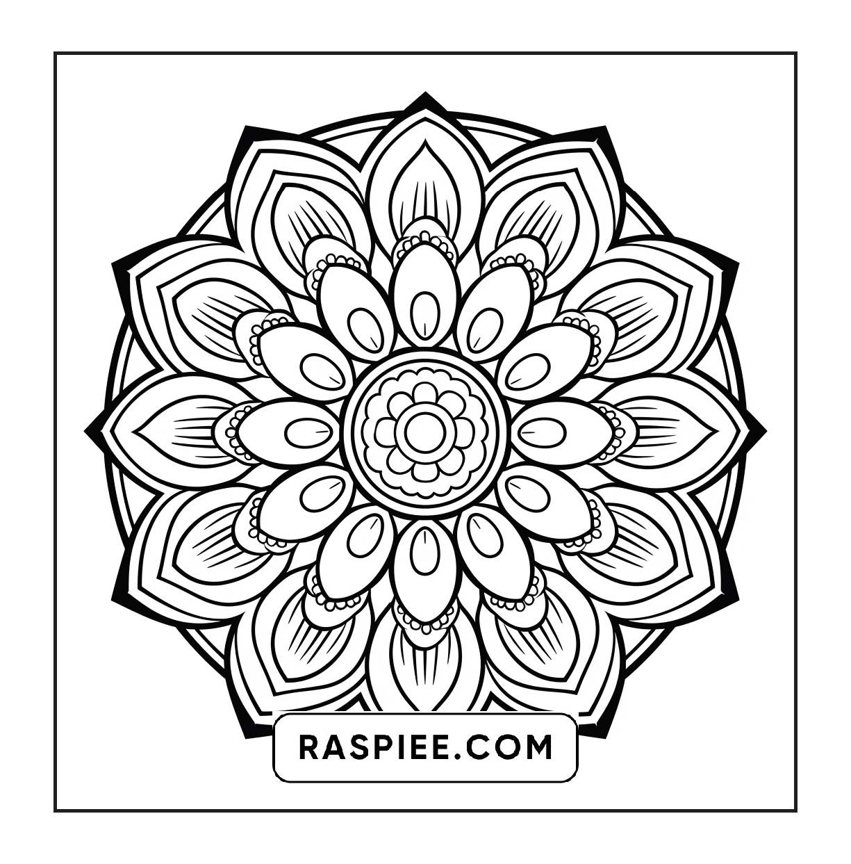 250 Mandala Adult Coloring Pages Vol.3