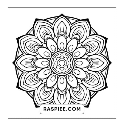 250 Mandala Adult Coloring Pages Vol.3